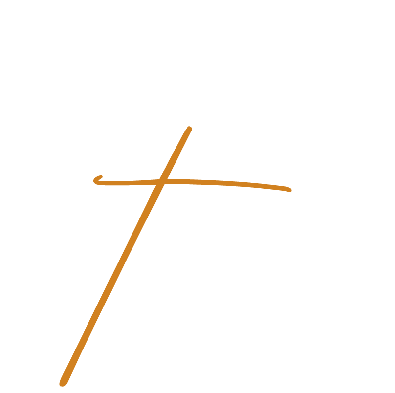 bitxogastroexperiencies_airerestaurant